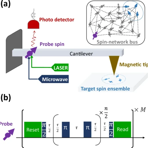 Schematic representation of the experimental setup and control strategy.