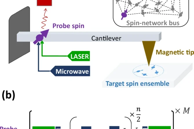 Schematic representation of the experimental setup and control strategy.