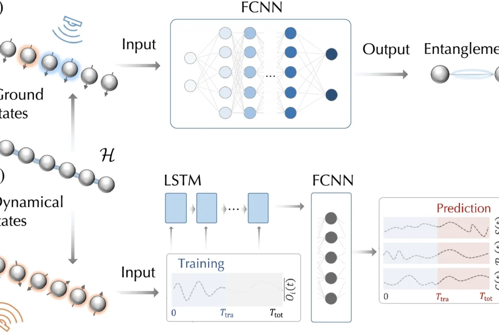 Schematic workflow of the neural network for learning entanglement