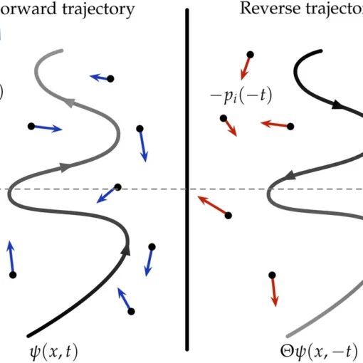 Emergence of opposing arrows of time in open quantum systems