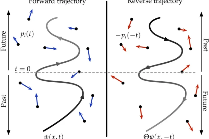 Emergence of opposing arrows of time in open quantum systems