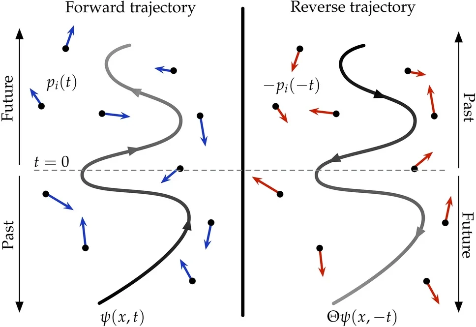 Emergence of opposing arrows of time in open quantum systems