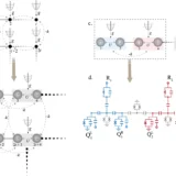 Diagramatic representation of the physical model and the corresponding digital-analog quantum simulator.