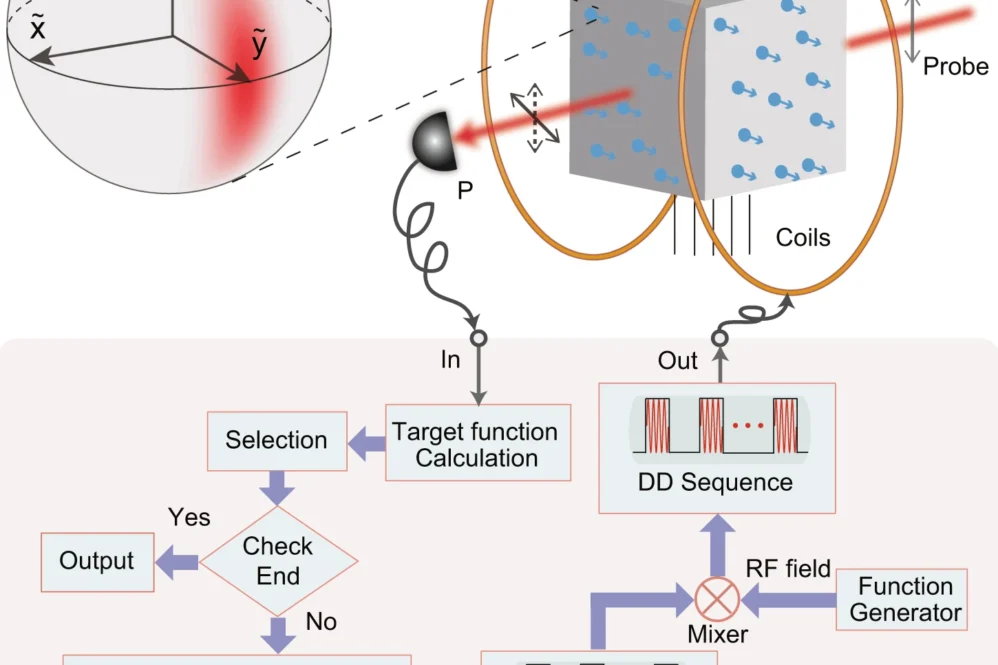 System of the quantum locking scheme.