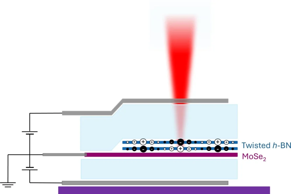 In the new method, two boron nitride (n-BN) layers twisted with respect to each other create an electric field in a molybdenum diselenide semiconductor (MoSe2). A light beam (red) is used to study the properties of the electrons in the semiconductor. Credit: ETH Zurich