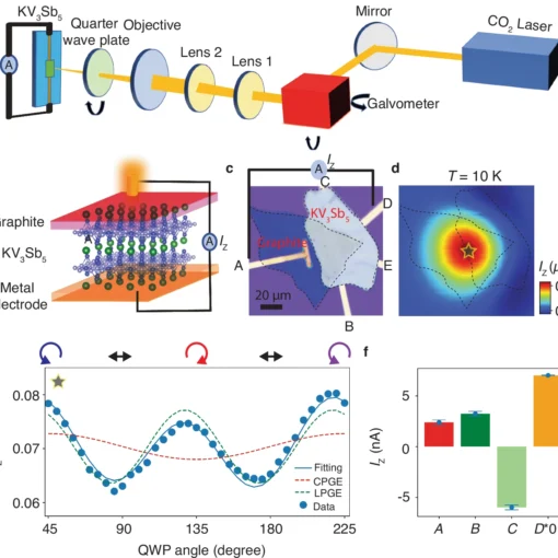 Observation of the longitudinal circular photogalvanic effect in KV3Sb5.