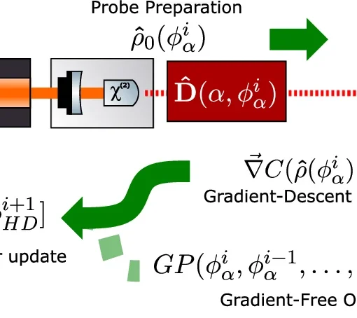 Variational experiment principle.