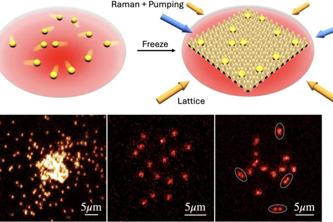 Top: Two renderings show how itinerant atoms in an atom trap (red) are suddenly frozen in place via an applied optical lattice and imaged via Raman sideband cooling. Bottom: Three microscope images show (left to right) bosonic 23Na forming a Bose-Einstein condensate; a single spin state in a weakly interacting 6Li Fermi mixture; and both spin states of a strongly interacting Fermi mixture, directly revealing pair formation. Credit: Image courtesy of the researchers
